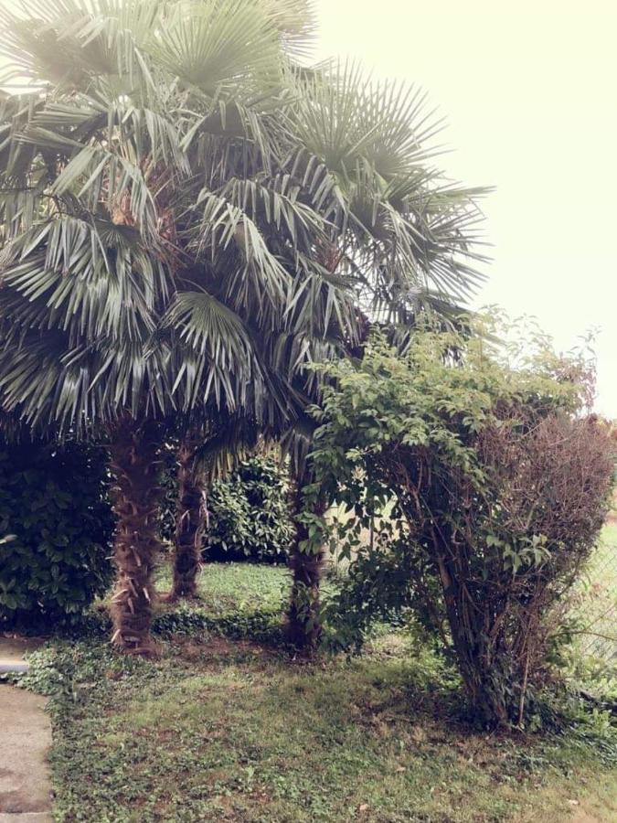 Villa Sofia Pramaggiore Extérieur photo